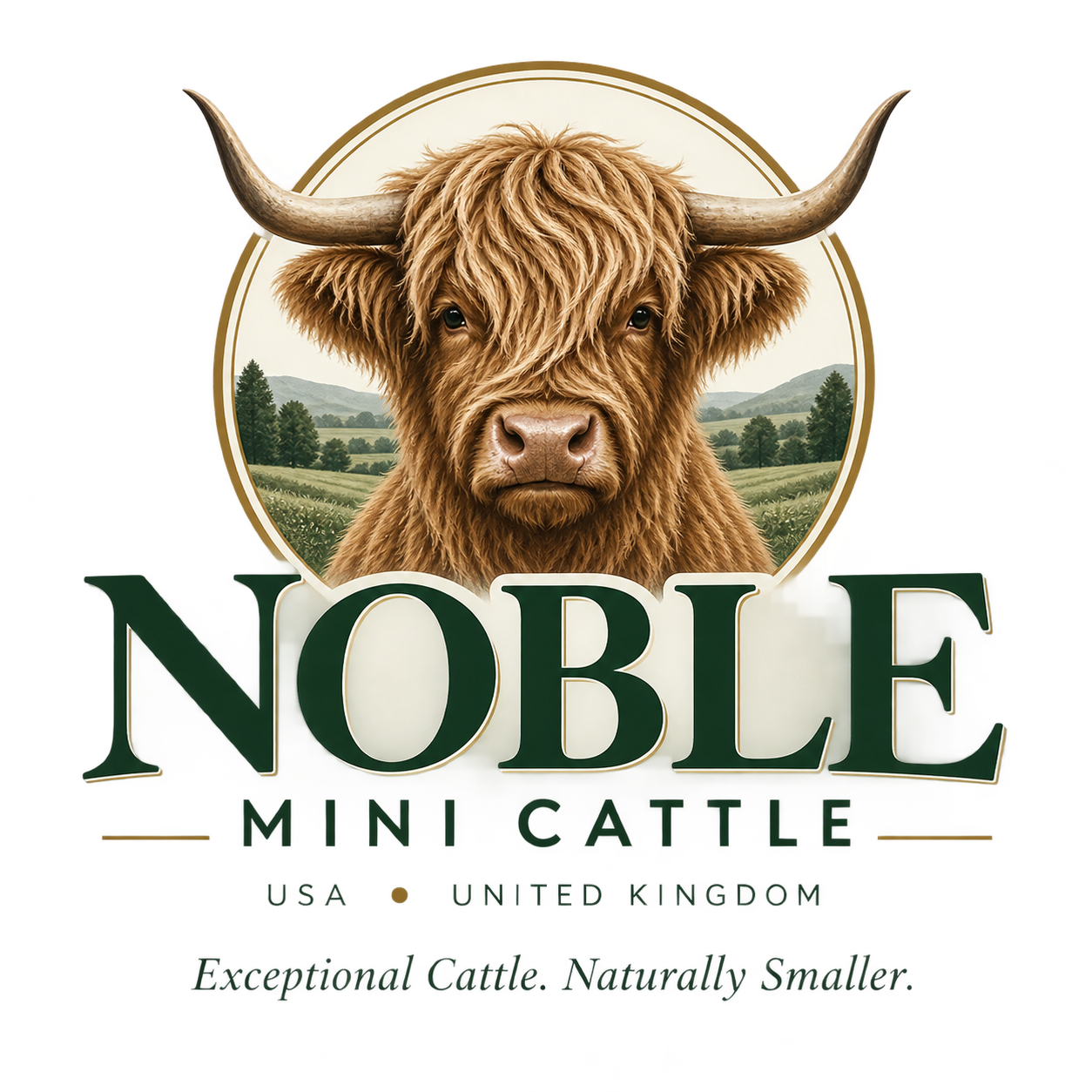 Noble Mini Cattle